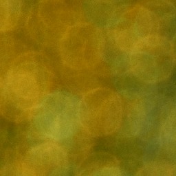 Bokeh-395